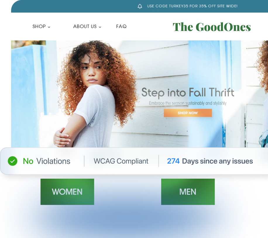Patrol accessibility interface showing clean, compliant website